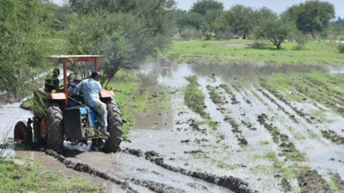 LIDER CAMPESINO AFECTACIONES OK